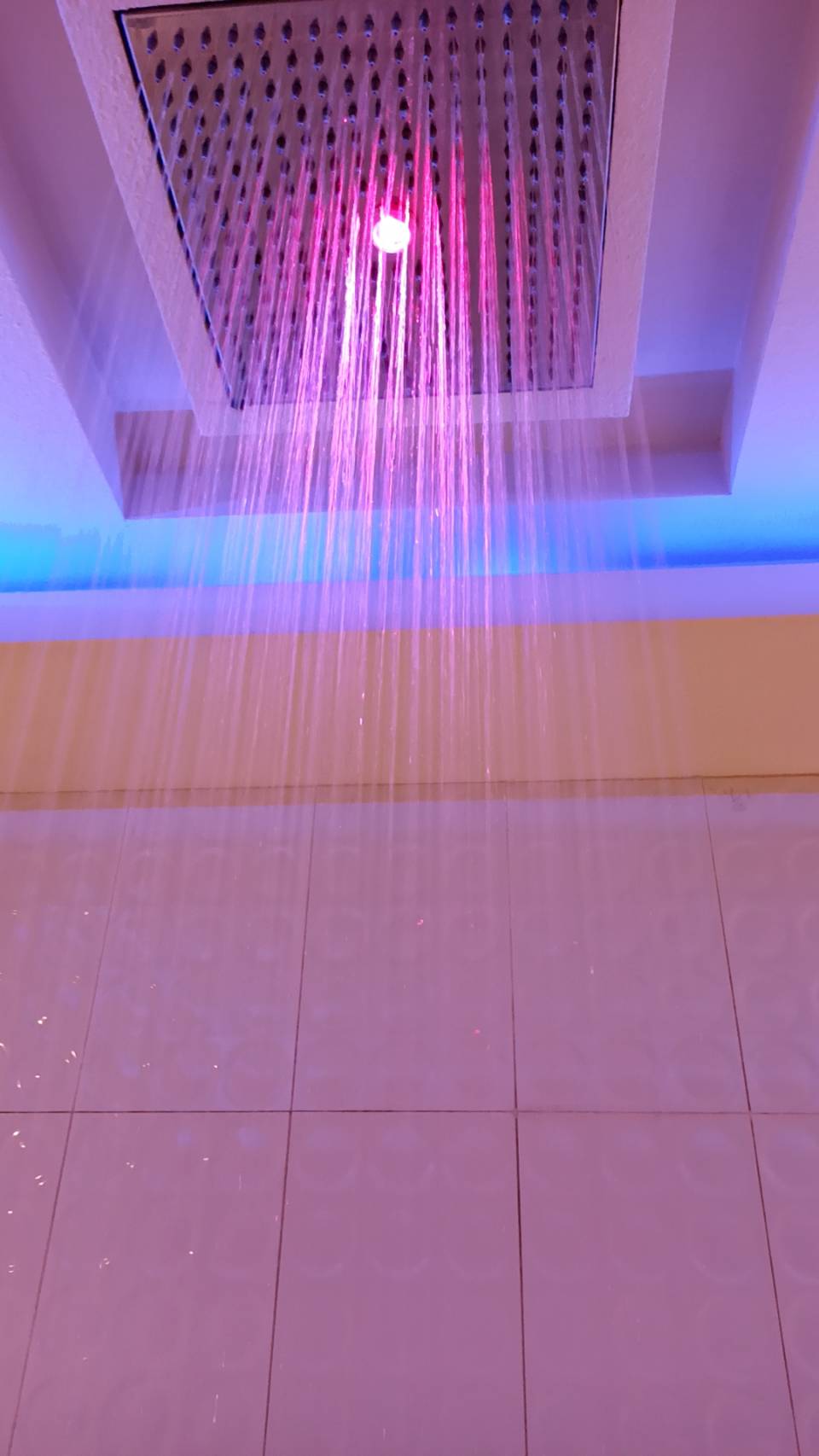 236338.jpg