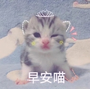 9150e4e5ly1fr8aah68pgj208c08bjt3.jpg
