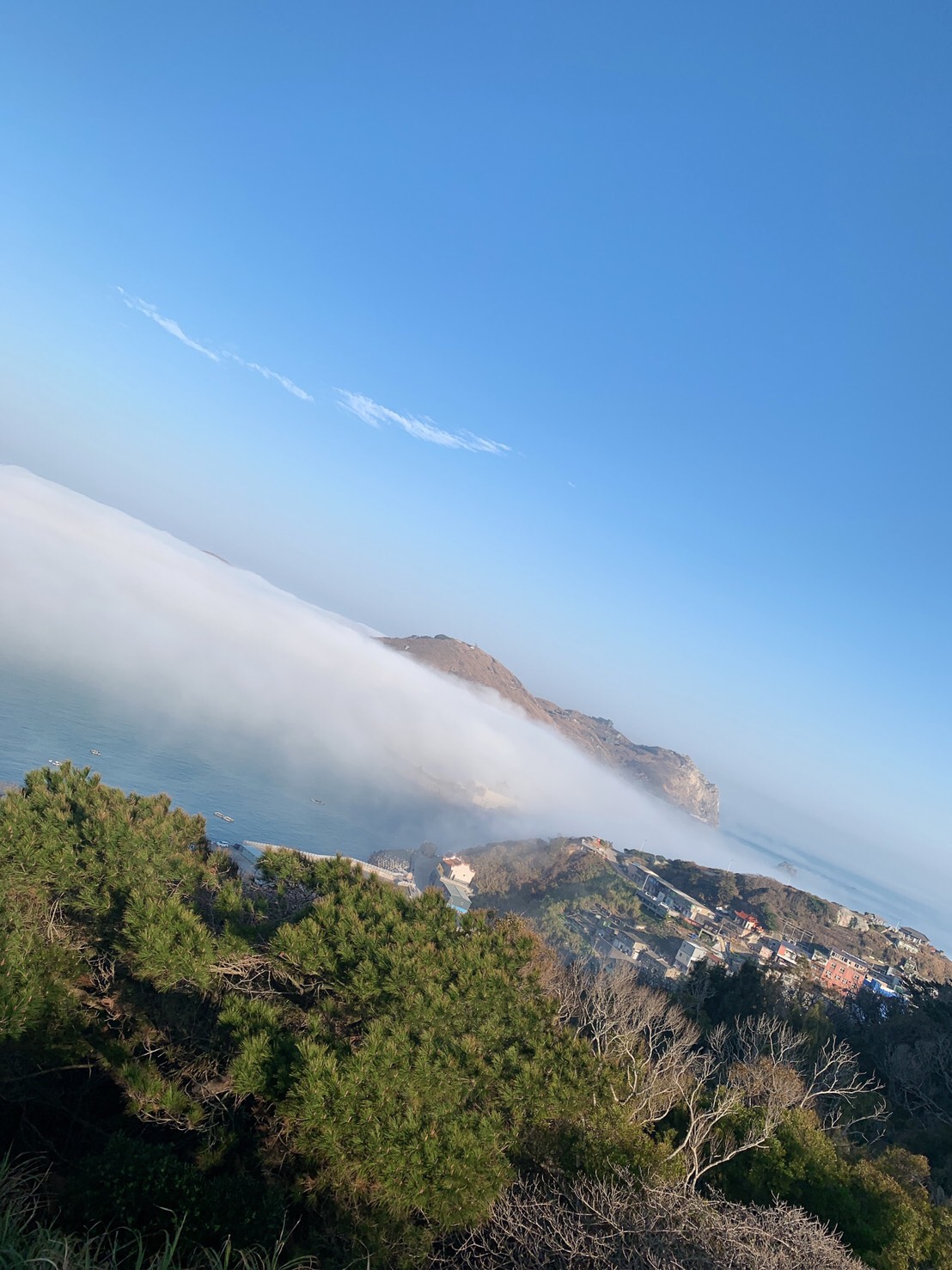 S__12353557.jpg