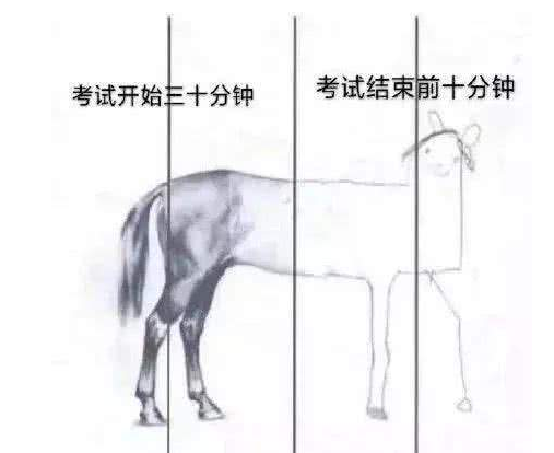 4555.png