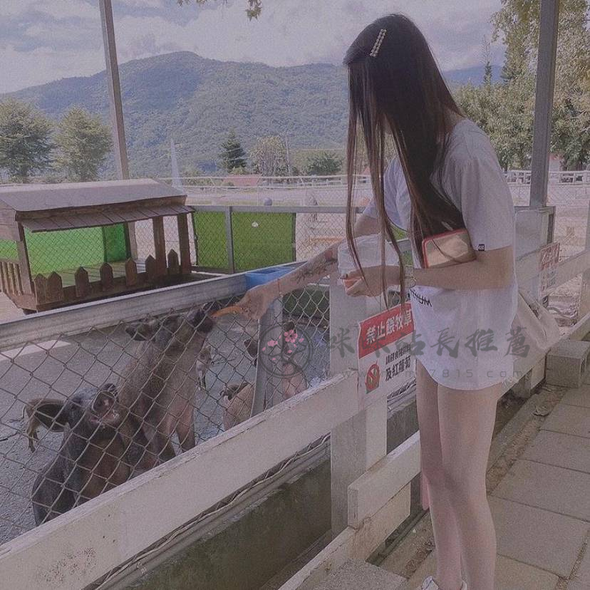 冷檬.jpg