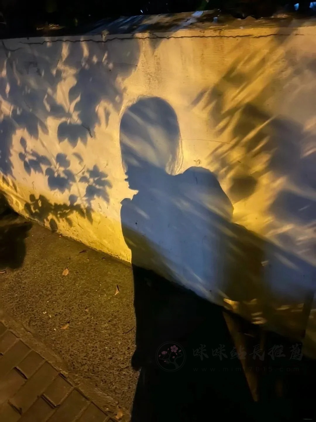 啊.jpg